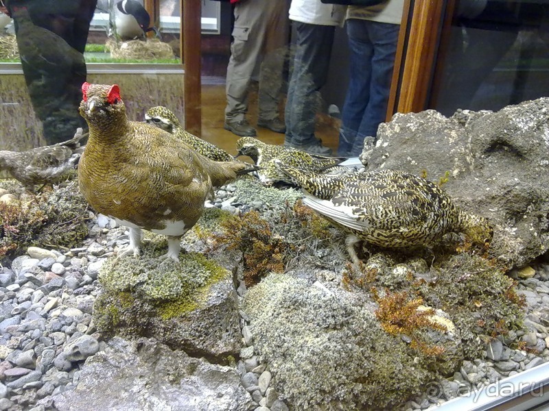 Исландия, день первый