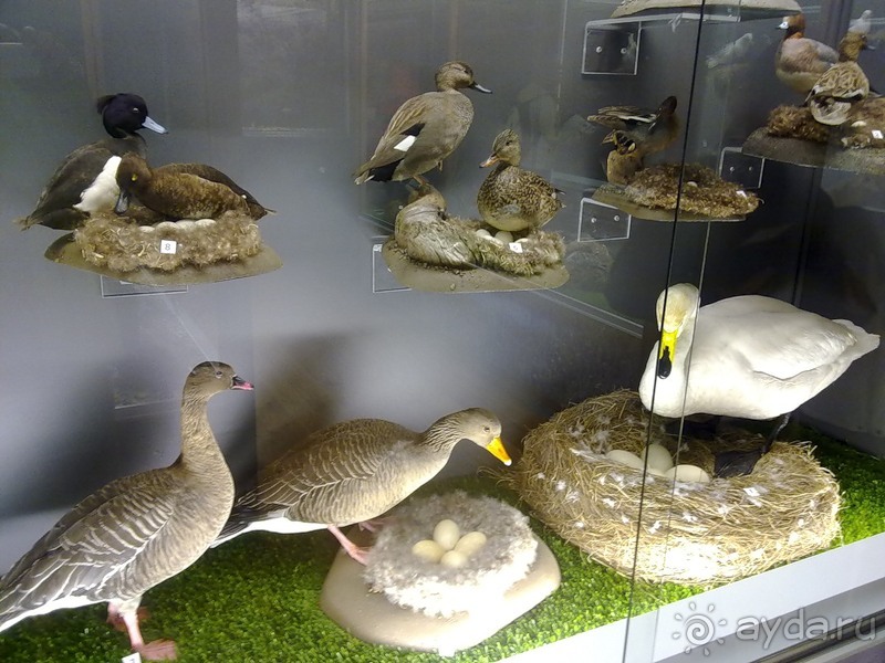 Исландия, день первый