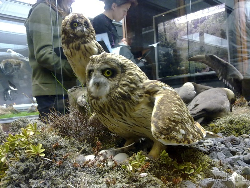 Исландия, день первый