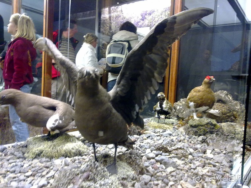 Исландия, день первый