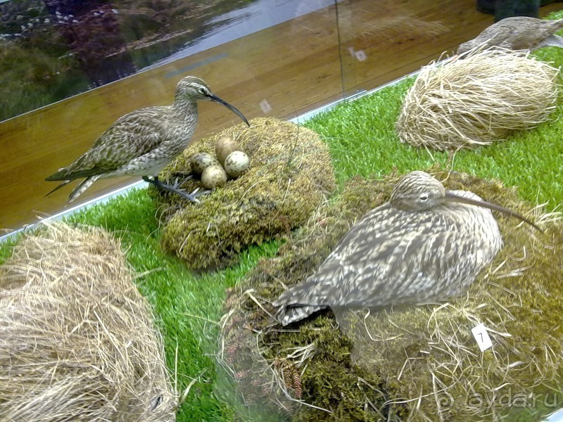 Исландия, день первый