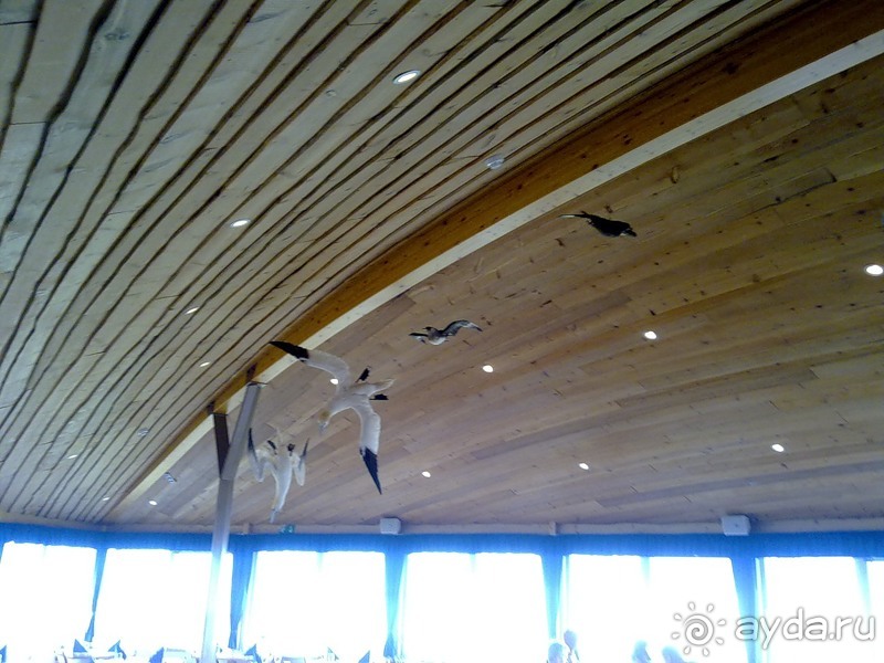 Исландия, день первый