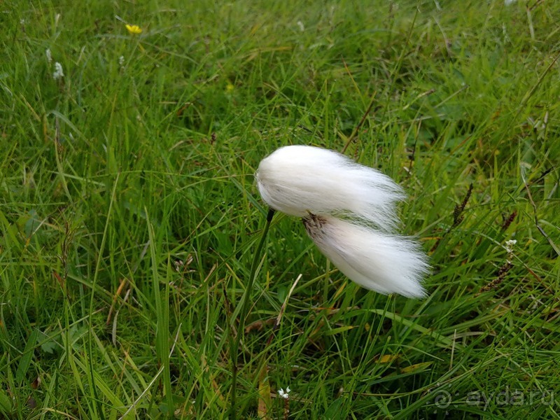 Исландия, день первый