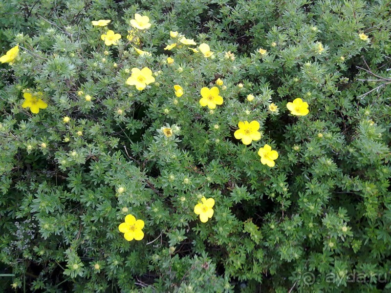 Исландия, день первый