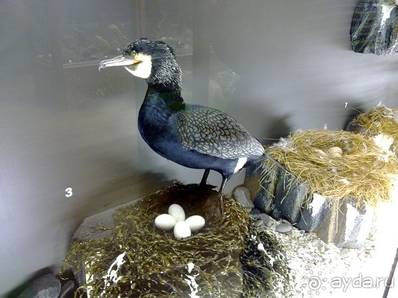 Исландия, день первый