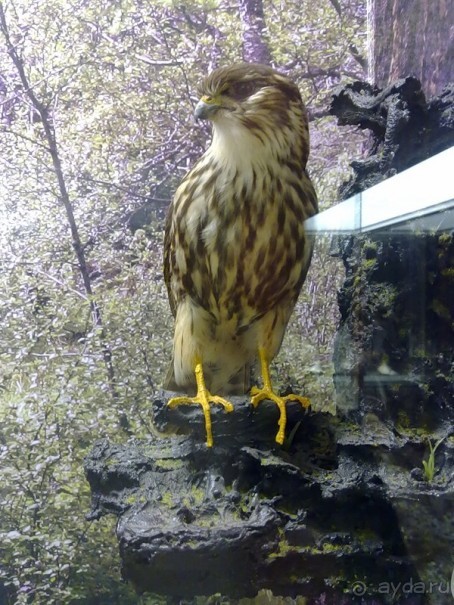 Исландия, день первый