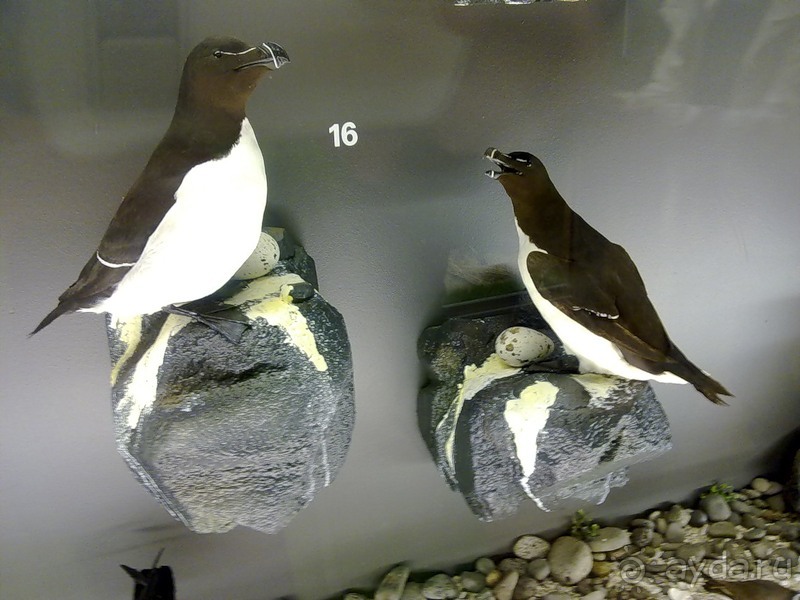 Исландия, день первый