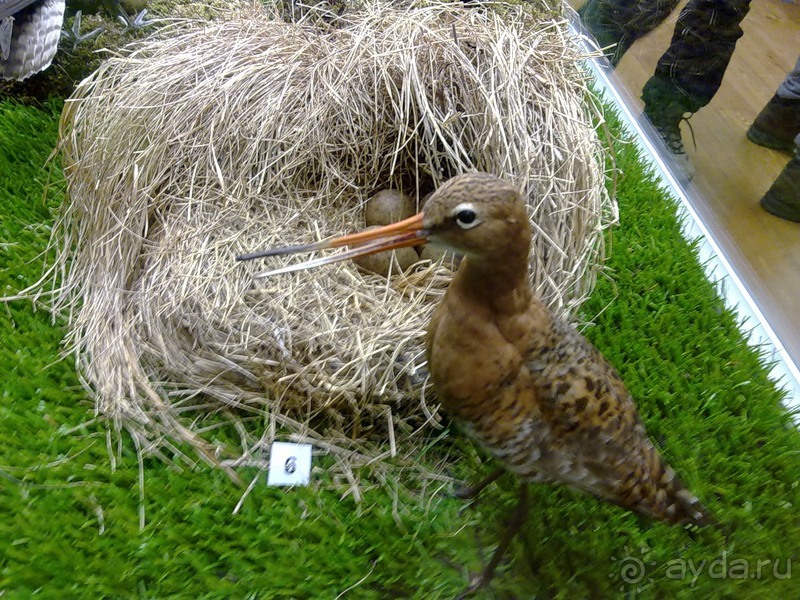 Исландия, день первый