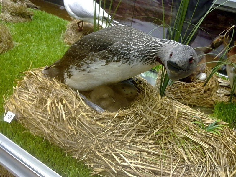 Исландия, день первый