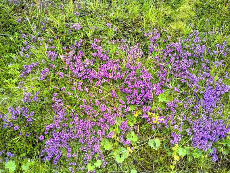 Исландия, день первый