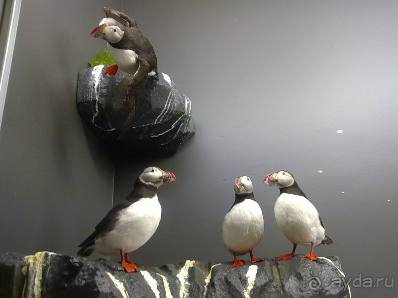 Исландия, день первый