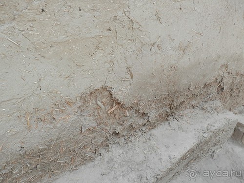 Бухара. Неторопливая прогулка начинается