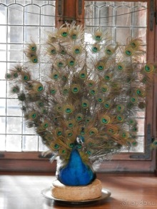 Фредериксборг, Дания