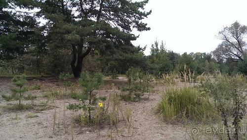 Серебряный бор - лето кончилось