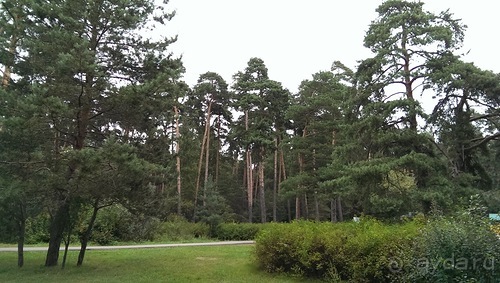 Серебряный бор - лето кончилось