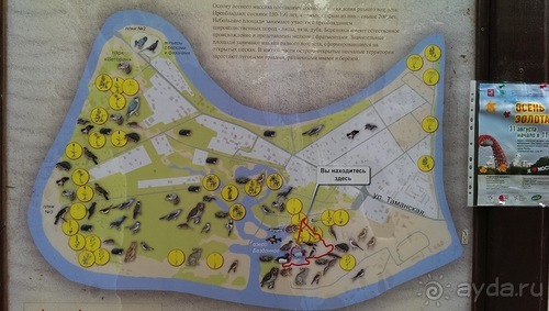 Серебряный бор - лето кончилось