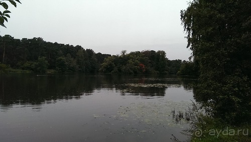 Серебряный бор - лето кончилось