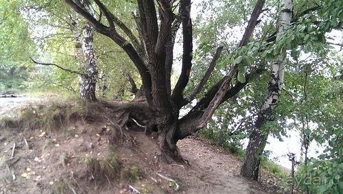 Серебряный бор - лето кончилось