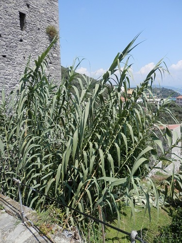 Portovenere