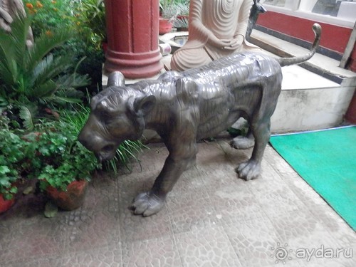 Джайнские храмы Кхаджурахо