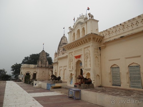 Джайнские храмы Кхаджурахо