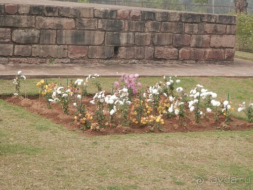 Джайнские храмы Кхаджурахо