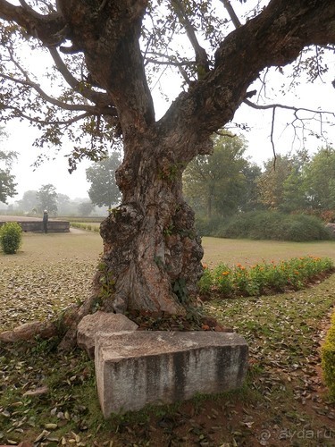 Джайнские храмы Кхаджурахо