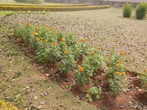 Джайнские храмы Кхаджурахо