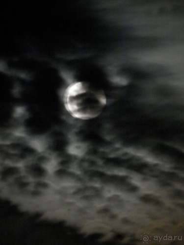 Флоренция - день второй