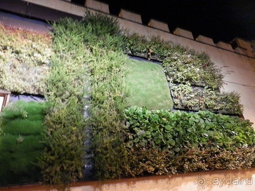 Флоренция - день второй