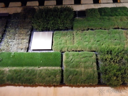 Флоренция - день второй