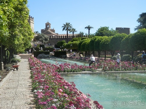 Кордова, день последний