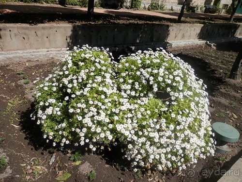 Кордова, день последний