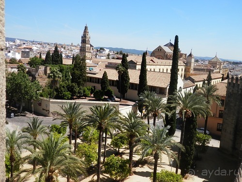 Кордова, день последний