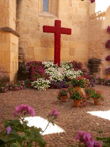 Кордова, день последний