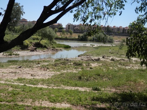 Кордова, день последний