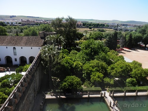 Кордова, день последний