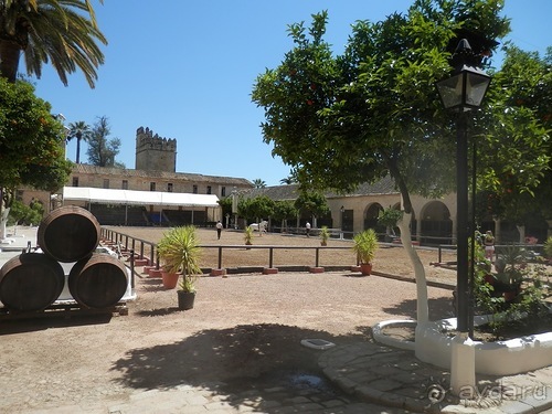 Кордова, день последний