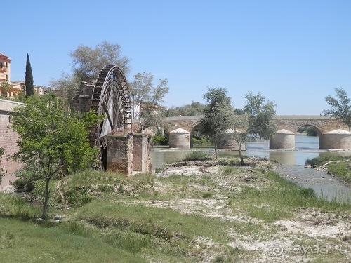 Кордова, день последний