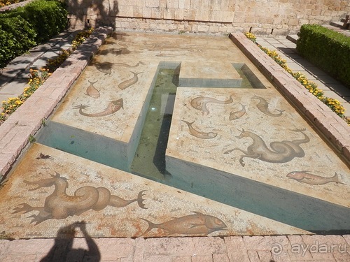 Кордова, день последний