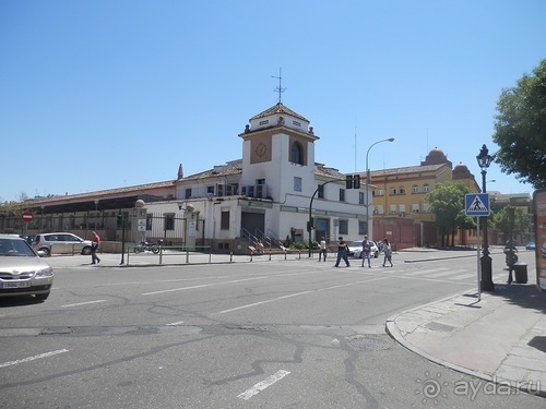 Кордова, день последний