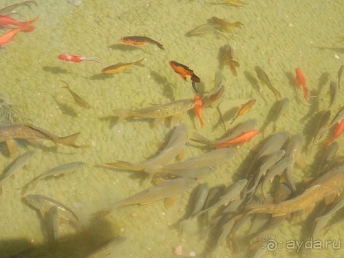 Кордова, день последний