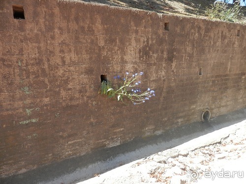 Кордова, день последний