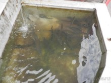 А Чимганские горы царят вдалеке и безумно прекрасны собою