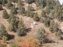 Альбом отзыва "А Чимганские горы царят вдалеке и безумно прекрасны собою"