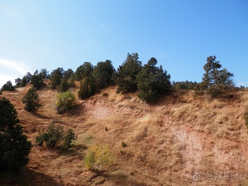А Чимганские горы царят вдалеке и безумно прекрасны собою