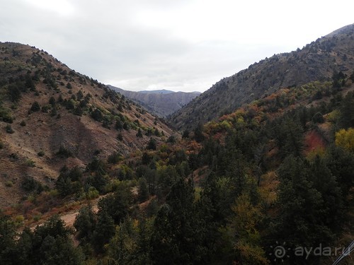 А Чимганские горы царят вдалеке и безумно прекрасны собою