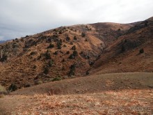 А Чимганские горы царят вдалеке и безумно прекрасны собою