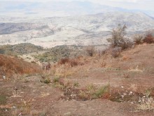 А Чимганские горы царят вдалеке и безумно прекрасны собою