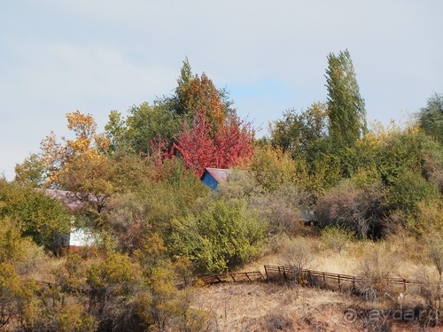 А Чимганские горы царят вдалеке и безумно прекрасны собою